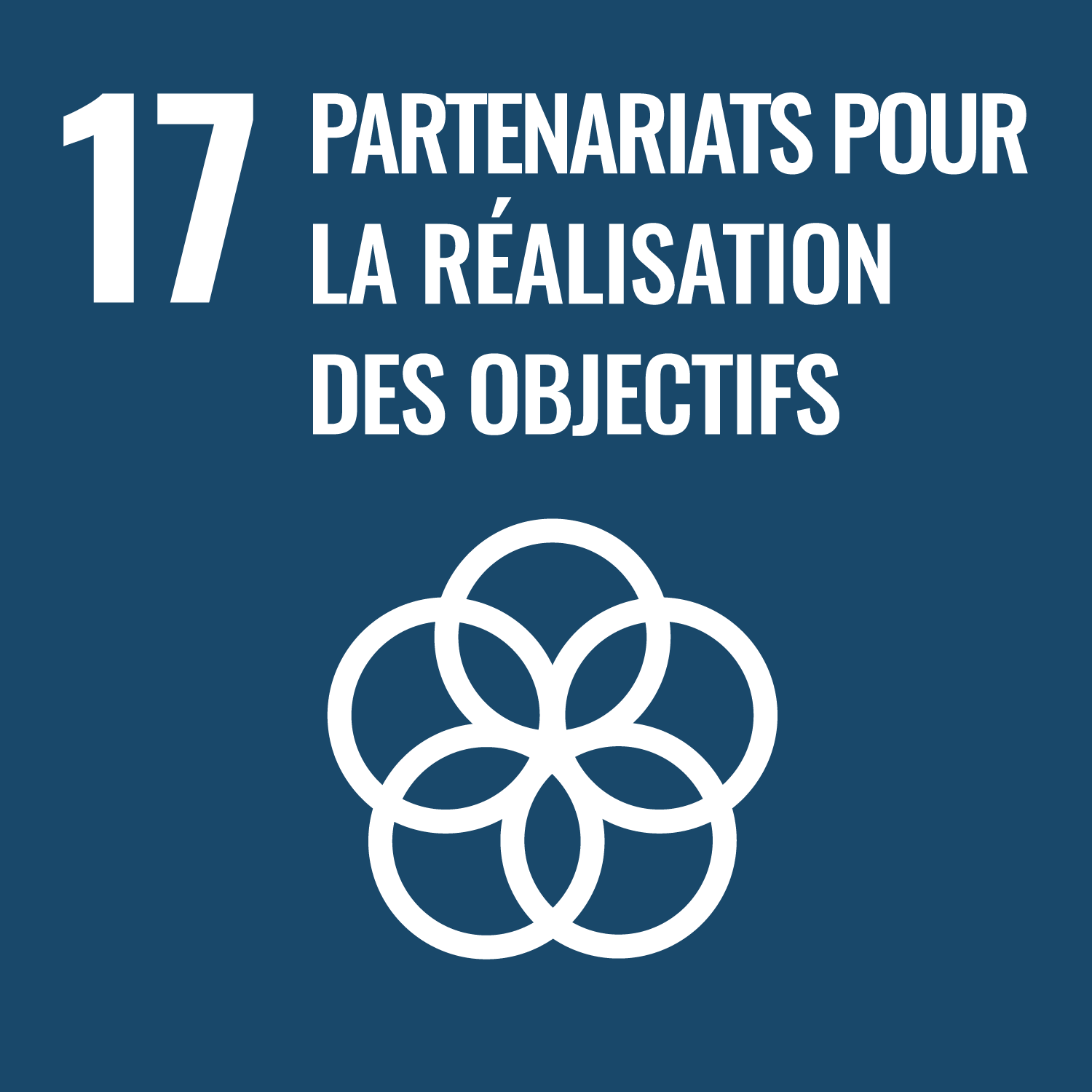 Partenariats pour la réalisation des objectifs 