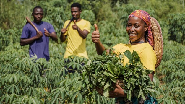 Agriculture durable et sécurité alimentaire